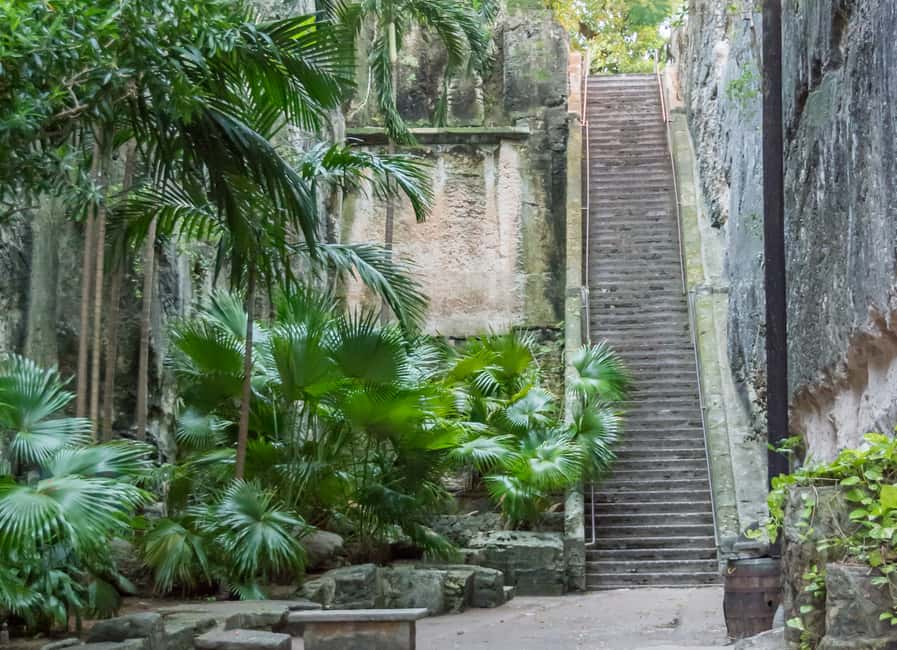 Nassau: Sightseeing, Snorkeling, & Shopping Tour with Pickup - Meeting the guide outside the port