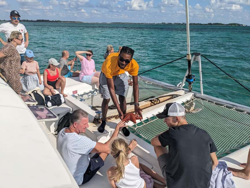 Nassau: Snorkeling, Pig Beach, Swim with Turtles, and Lunch - The highlights at a glance