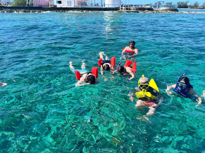 Nassau: Snorkeling, Swimming Pigs, Turtles & beach bar - Key points to know before booking