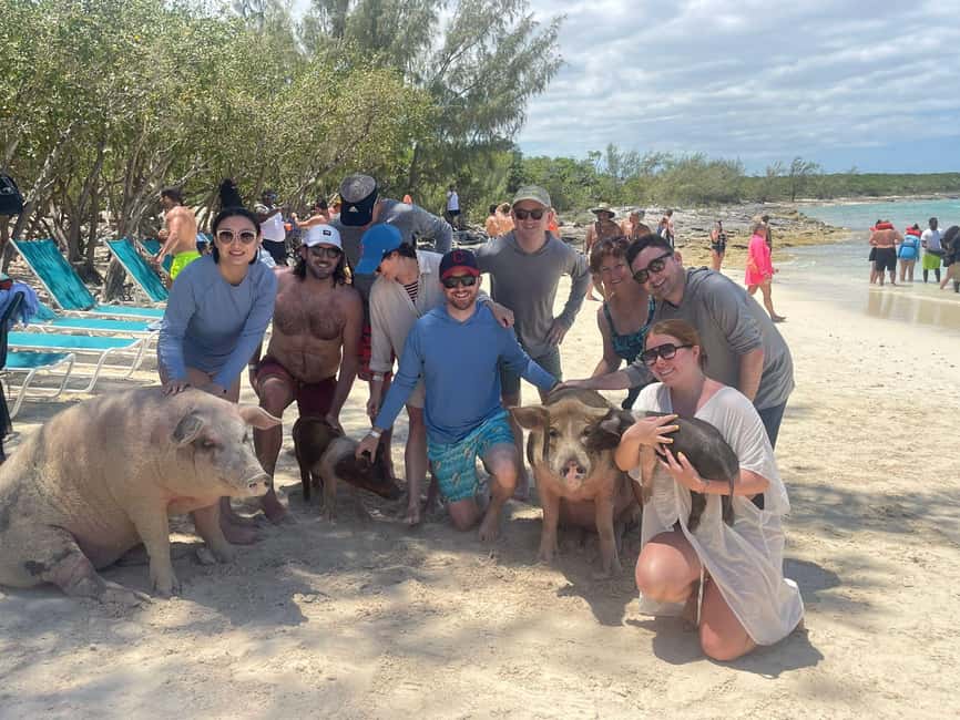 Nassau: Snorkeling, Swimming Pigs, Turtles & beach bar - Who will enjoy this boat tour most