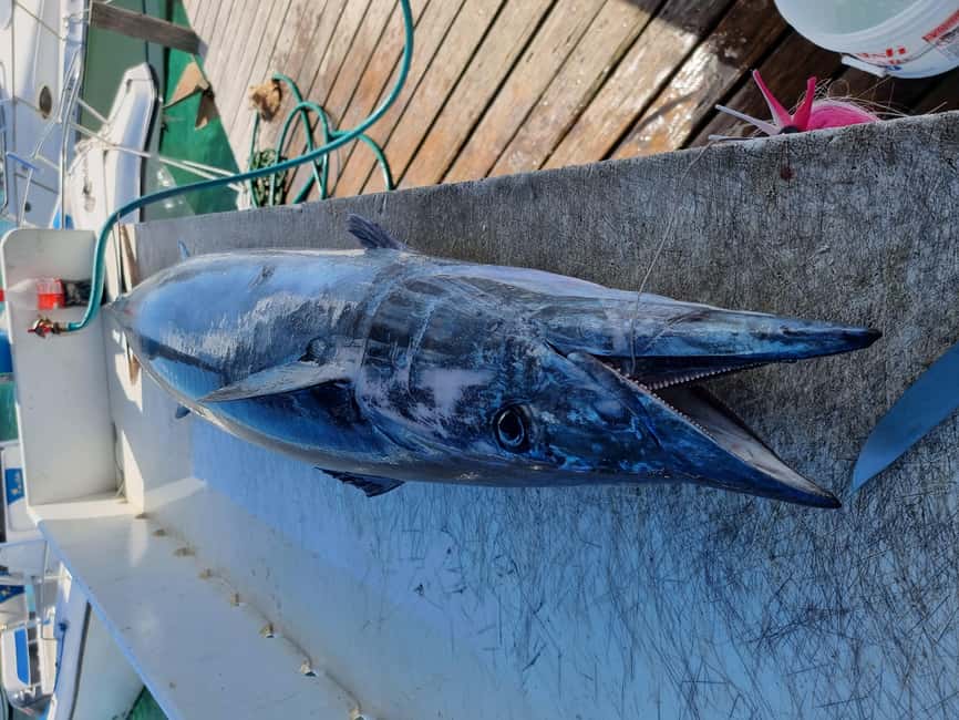 Nassau: Sport-fishing private charter . - Weather, timing, and sensible expectations