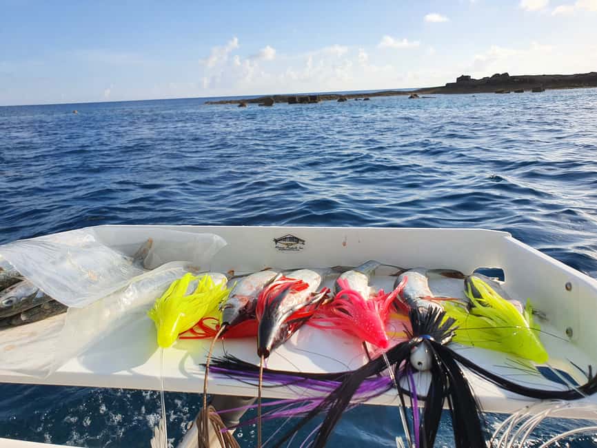 Nassau: Sport-fishing private charter . - What the four-hour route is really like