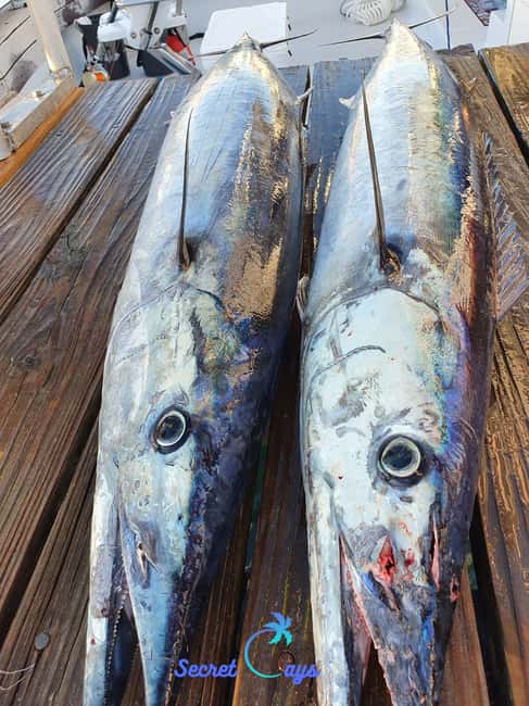 Nassau: Sport-fishing private charter . - The fish you might actually catch