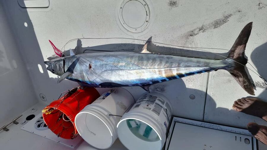 Nassau: Sport-fishing private charter . - What makes the crew valuable