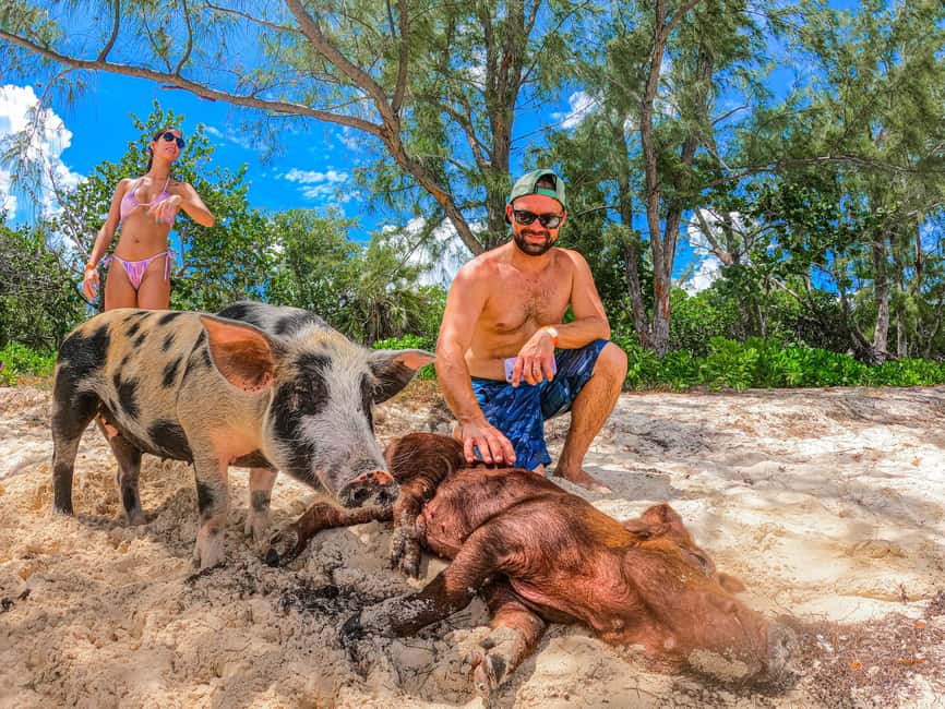 Nassau: Sun Cay and Swimming Pigs Boat Trip with Lunch - What the $179 Price Really Covers