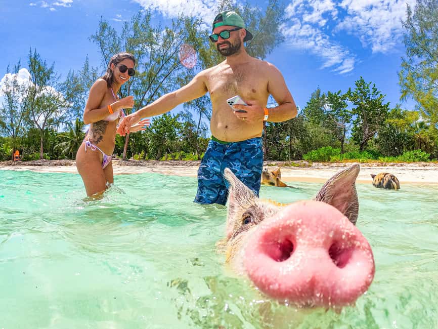 Nassau: Sun Cay and Swimming Pigs Boat Trip with Lunch - Timing, Comfort, and What to Pack