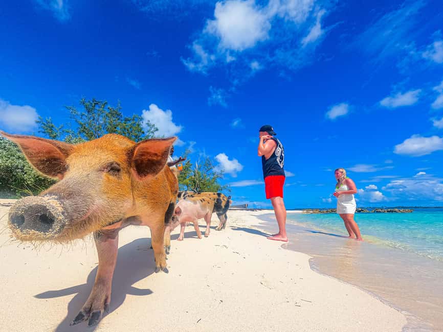 Nassau: Sun Cay and Swimming Pigs Boat Trip with Lunch - Sun Cay, Also Called Pearl Island