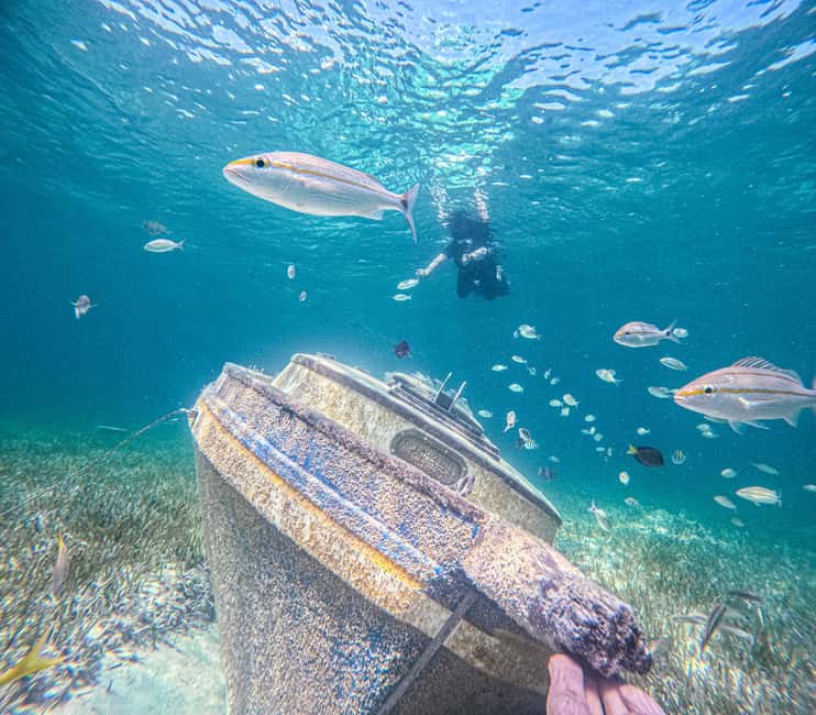 Nassau: Sun Cay Day Trip, Snorkel, Iguana Encounter, & Lunch - Getting to Elizabeth on Bay from Nassau’s cruise port