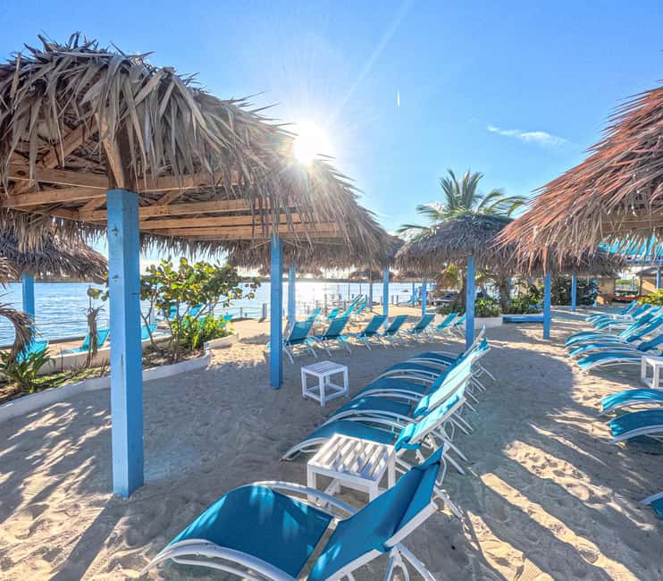 Nassau: Sun Cay Day Trip, Snorkel, Iguana Encounter, & Lunch - The iguana habitat is short but different
