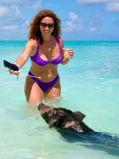Nassau: Swimming Pigs and Private Beach Club Trip with Lunch - From Nassau Harbor to Rose Island in 30 Minutes