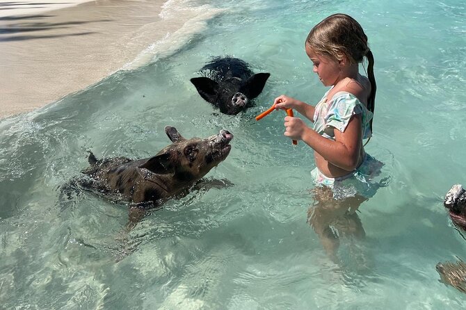 Nassau: Swimming Pigs And Snorkel With Turtles - The Boat Ride and Onboard Comfort