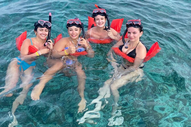 Nassau: Swimming Pigs And Snorkel With Turtles - Weather, Wildlife, and What Can Change