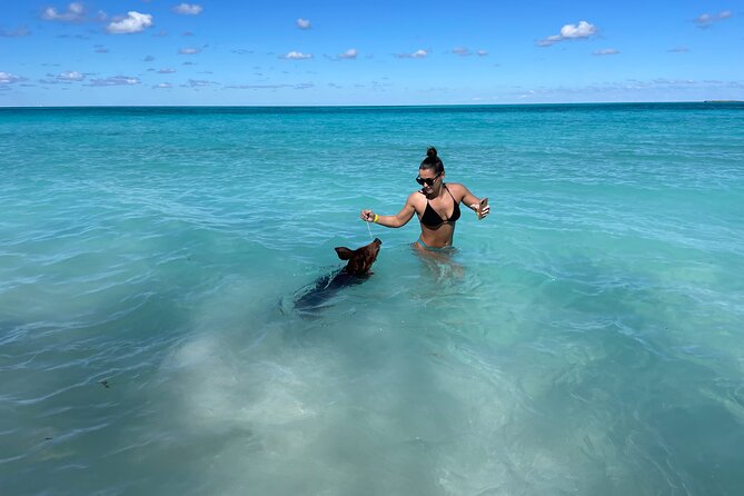 Nassau: Swimming Pigs And Snorkel With Turtles - What to Bring for Green Cay and Rose Island