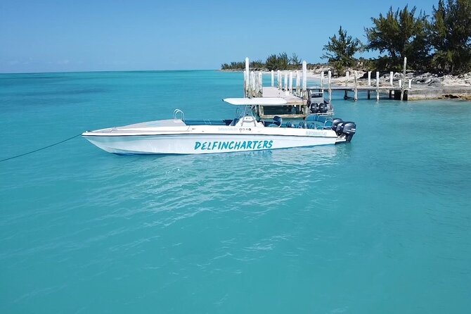 Nassau: Swimming Pigs And Snorkel With Turtles - Cancellation and Booking Details