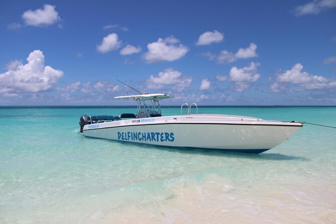 Nassau: Swimming Pigs And Snorkel With Turtles - Rose Island: The Swimming Pig Moment