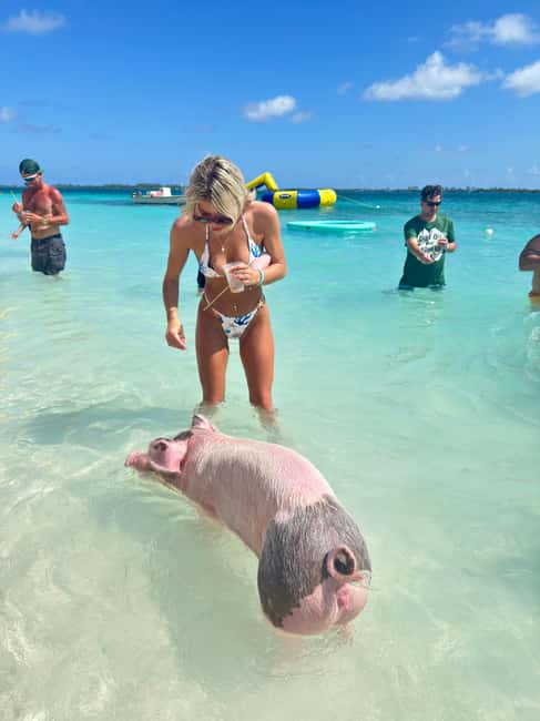 Nassau: Swimming Pigs and Turtles Boat Tour with Snorkeling - What the four-hour schedule means for you
