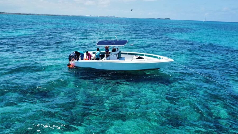 Nassau: Swimming Pigs Private Boat Tour - Up to 7 Persons - Key points at a glance