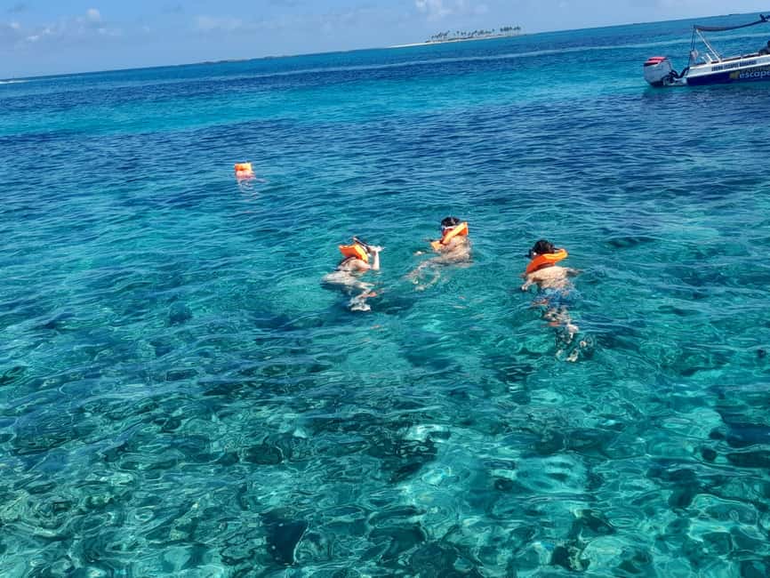 Nassau: Swimming Pigs Private Boat Tour - Up to 7 Persons - Why a private Nassau boat makes a difference