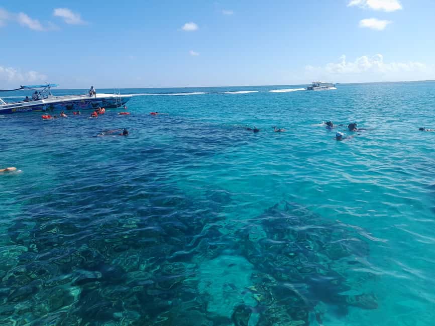 Nassau: Swimming Pigs Private Boat Tour - Up to 7 Persons - The first 15 minutes across Nassau’s water