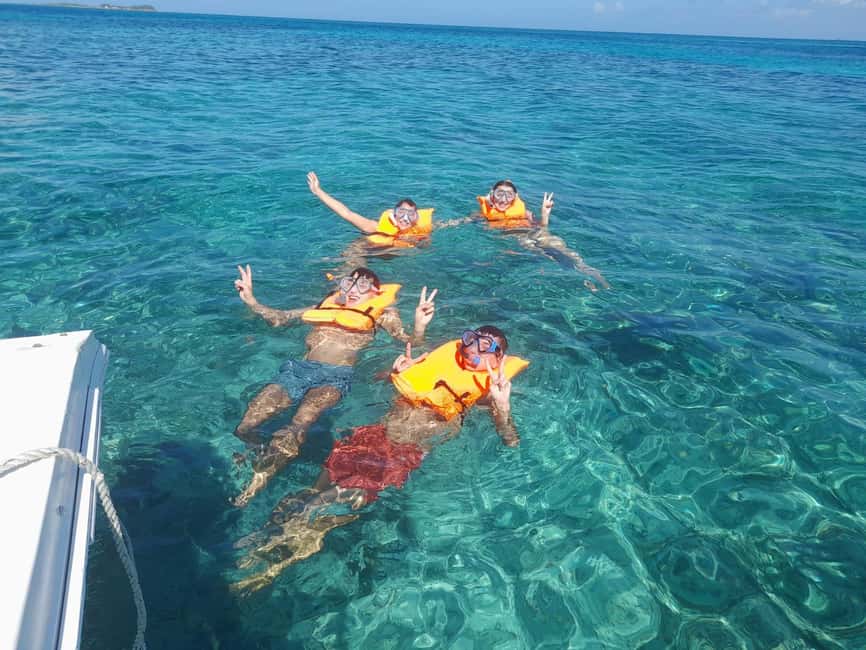 Nassau: Swimming Pigs Private Boat Tour - Up to 7 Persons - Green Cay and the chance to see sea turtles