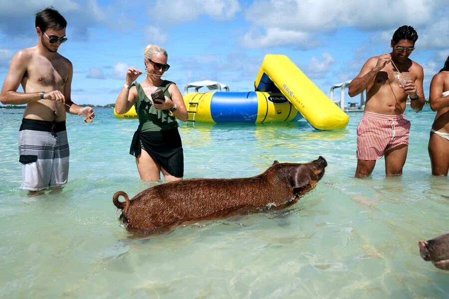 Nassau: Swimming Pigs, Snorkeling, Lunch, & Beach Boat Tour - Why this Nassau boat tour works so well