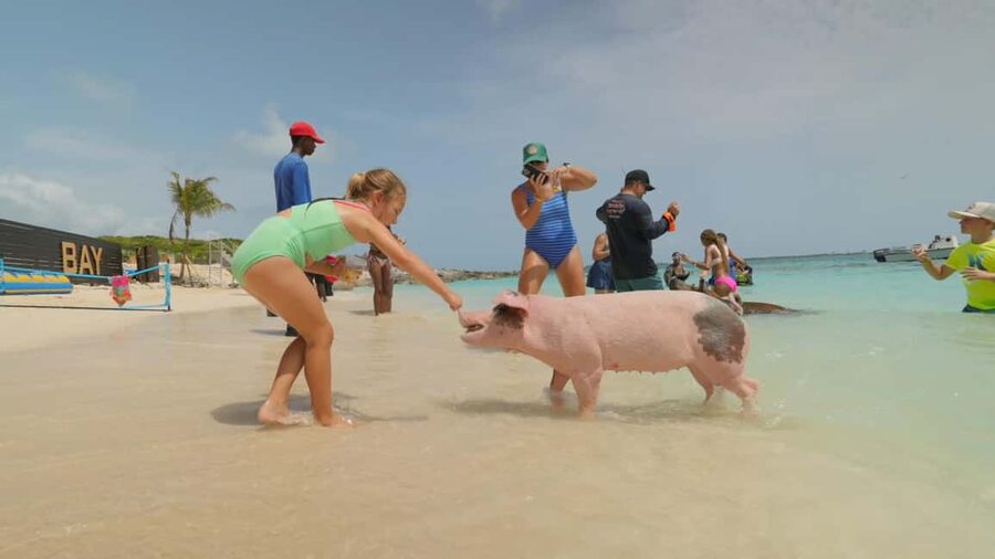 Nassau: Swimming Pigs, Snorkeling, Lunch, & Beach Boat Tour - Free photos make a real difference