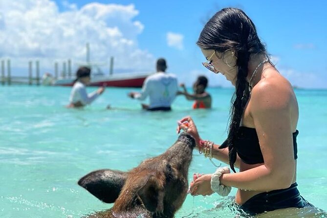 Nassau Swimming Pigs: Snorkeling, Lunch & Private Beach Club - Who will enjoy this Nassau excursion most