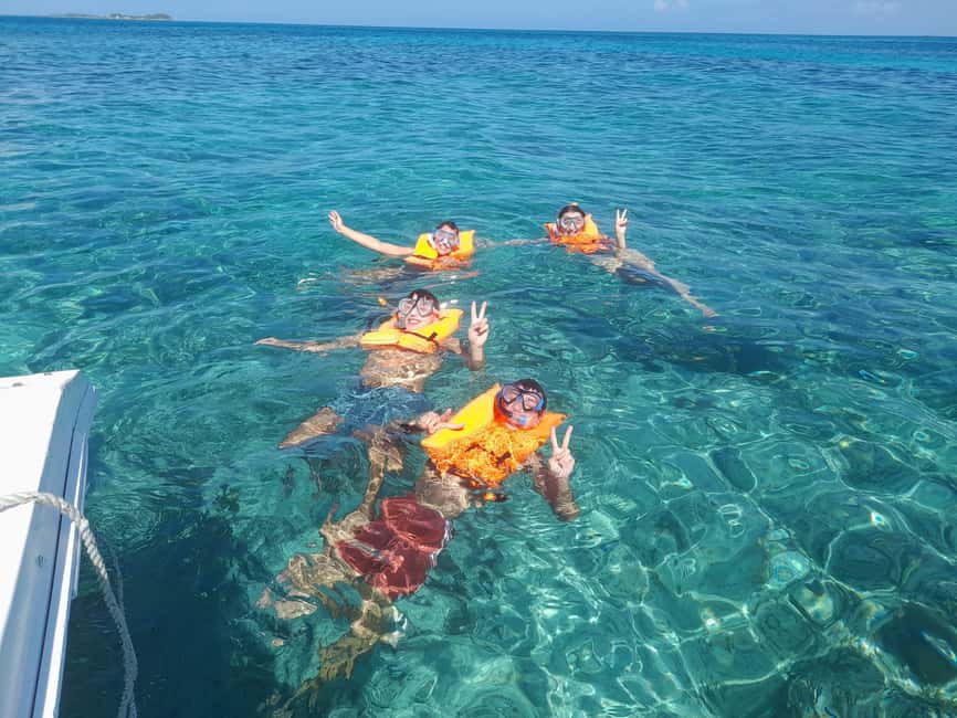 Nassau: Swimming with Pigs, Snorkeling, and Sightseeing Tour - Pig Island, beach time, and the optional pig swim