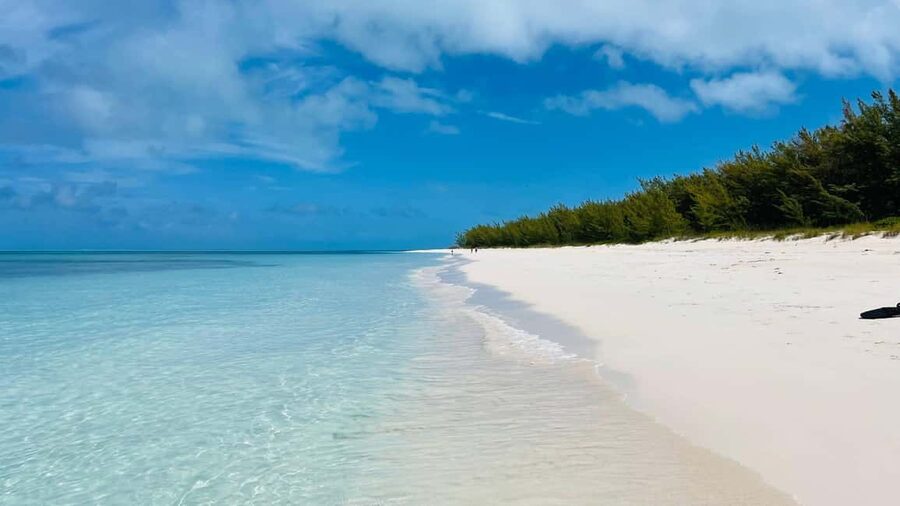 Nassau: Swimming with Pigs, Snorkeling, and Sightseeing Tour - What makes this tour different from a standard Nassau excursion