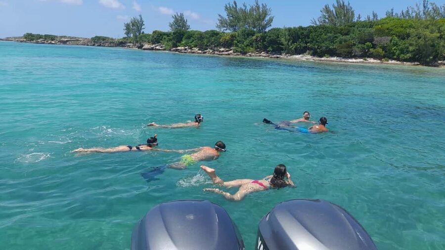 Nassau: Swimming with Pigs, Snorkeling, and Sightseeing Tour - FAQ