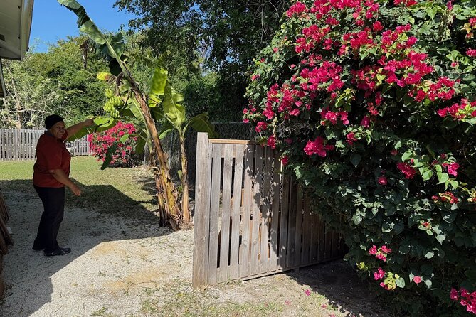 NEW! Authentic Bahamian Cooking and Cocktails with Transfers - Who will enjoy this most