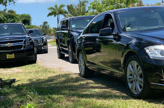 One-Way Private Transfer - Cruise port pickup adds useful flexibility