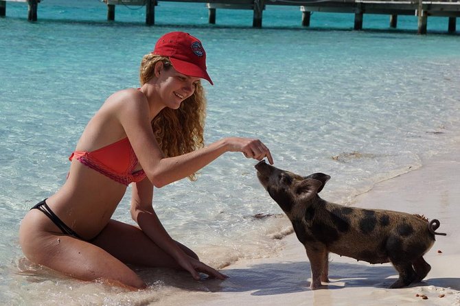 Original Exuma Powerboat Adventures - Why this Exuma day trip is worth considering