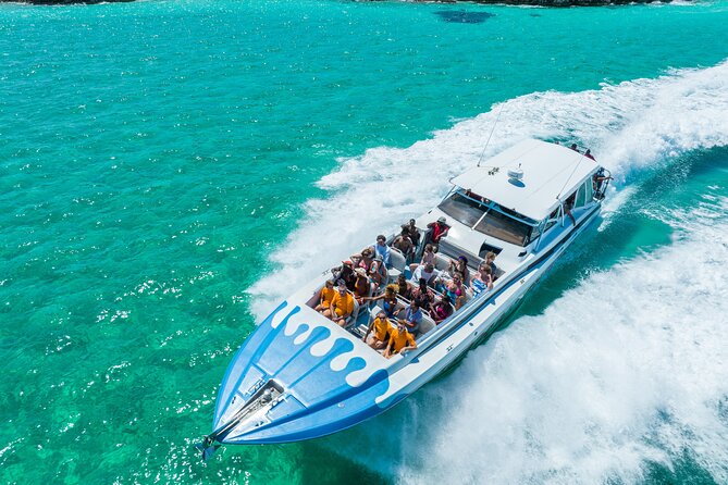 Original Exuma Powerboat Adventures - Sharks, stingrays, pigs, and the question of animal encounters