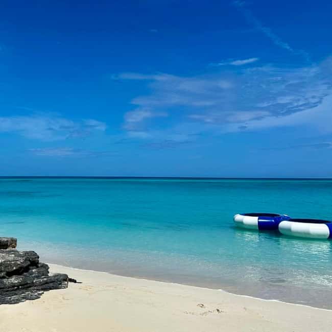 Paradise Found In Hog Haven: Ultimate Beach Escape - Meeting the Swimming Pigs