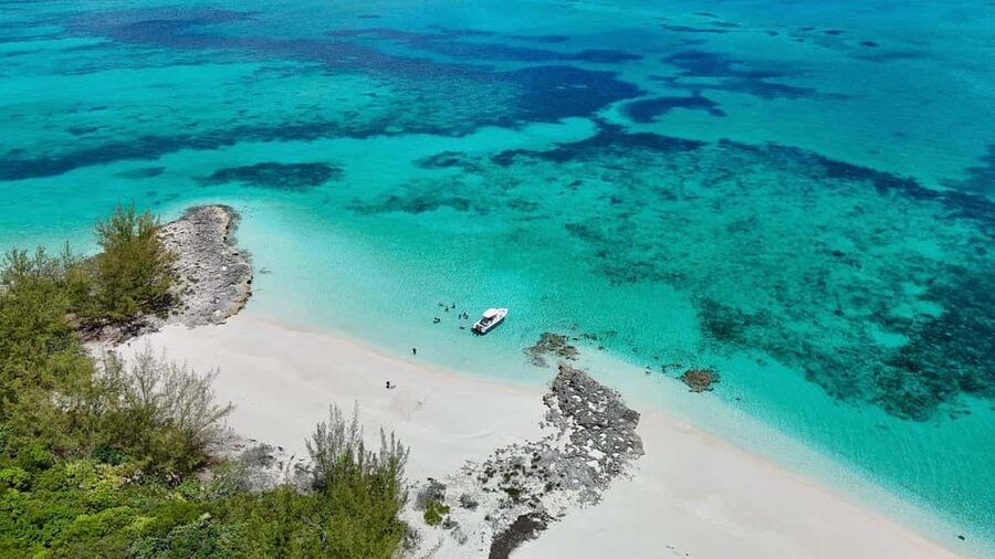 Paradise Found In Hog Haven: Ultimate Beach Escape - The Beach Bar, Food, and Island Pace