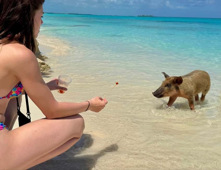 Paradise Found In Hog Haven: Ultimate Beach Escape - How the $69 Price Works Out