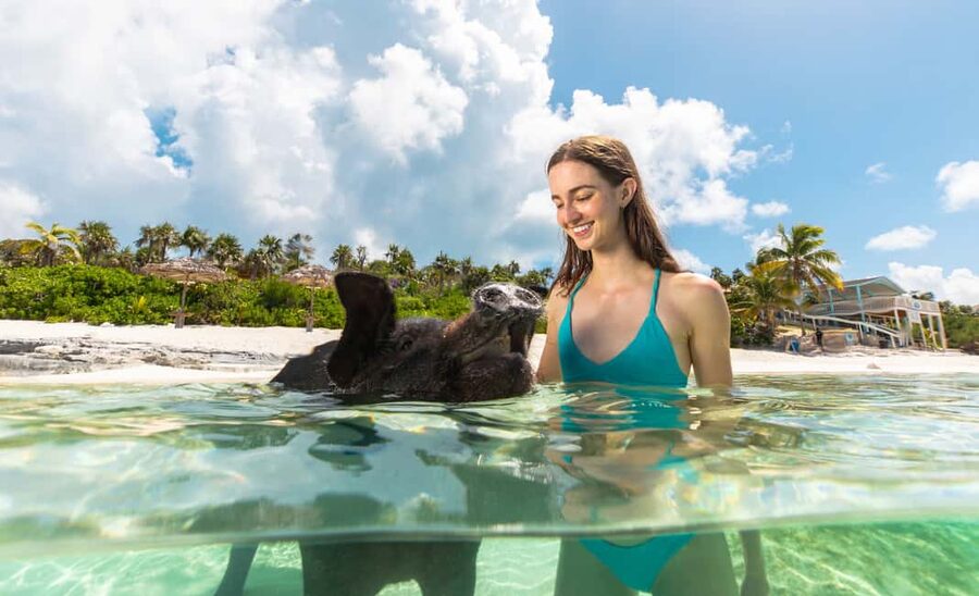 Paradise Island: Rose Island Tour with Swimming Pigs & Lunch - Leaving Paradise Island by boat