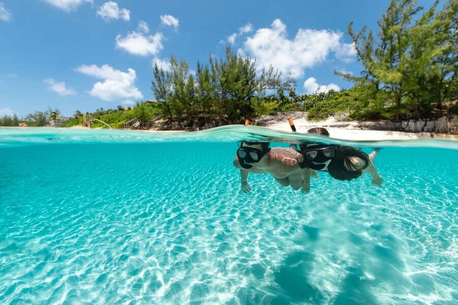 Paradise Island: Rose Island Tour with Swimming Pigs & Lunch - Is $252 a fair price?