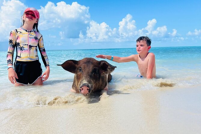 Perfect Day Swimming Pigs, Turtles, Reef Snorkel & Lunch - What makes this Nassau boat trip worth considering