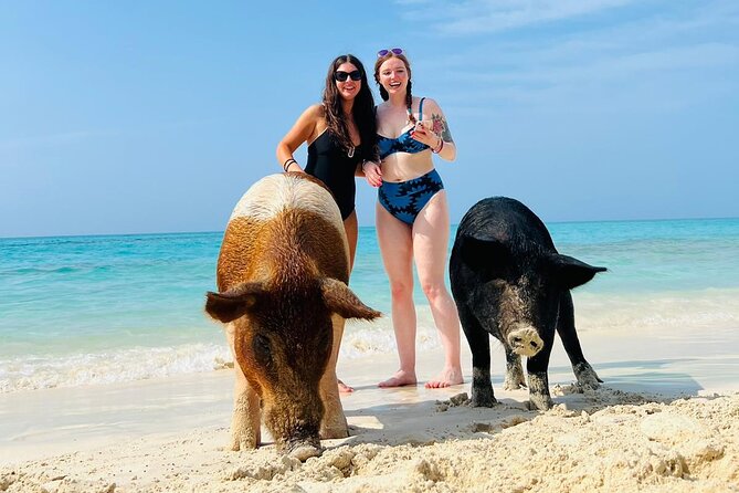Perfect Day Swimming Pigs, Turtles, Reef Snorkel & Lunch - Three Bahamian stops packed into four hours