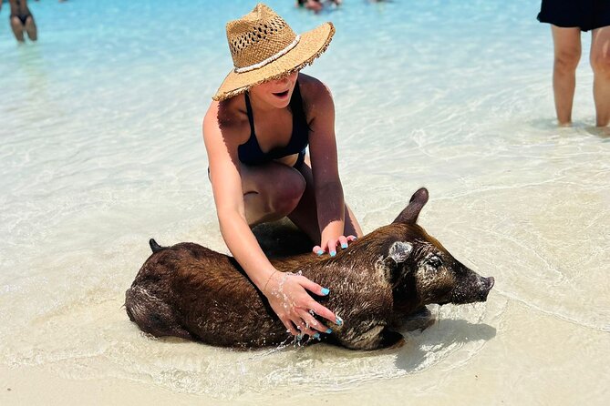Perfect Day Swimming Pigs, Turtles, Reef Snorkel & Lunch - Rose Island and the private beach club