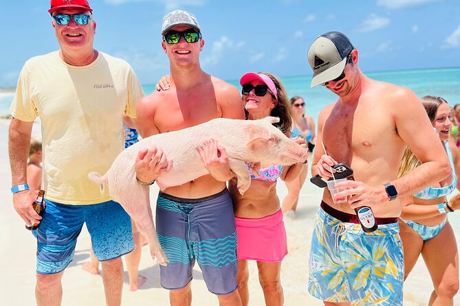 Perfect Day Swimming Pigs, Turtles, Reef Snorkel & Lunch - The pig interaction is fun, but know what it means