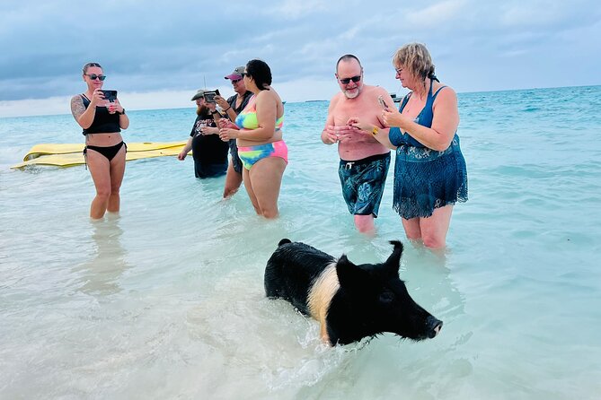 Perfect Day Swimming Pigs, Turtles, Reef Snorkel & Lunch - The boat ride, crew, and group size