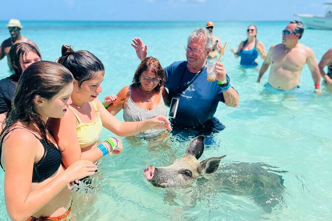 Perfect Day Swimming Pigs, Turtles, Reef Snorkel & Lunch - What the $189 price really buys
