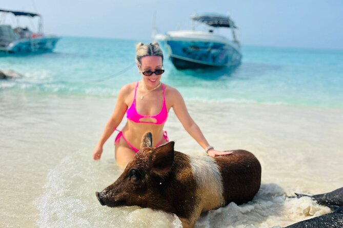 Perfect Day Swimming Pigs, Turtles, Reef Snorkel & Lunch - Atholl Island snorkeling: 30 minutes in the reef