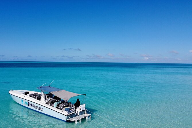 Pink Sand Beach and Swimming Pigs Adventure from Nassau - The Spanish Wells sandbar and wooden swings