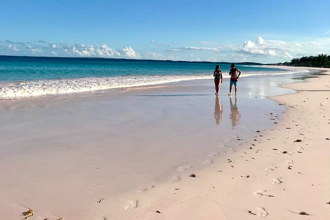 Pink Sand Beach and Swimming Pigs Adventure from Nassau - Meeks Patch Island and the swimming pigs