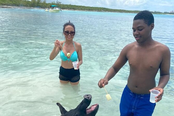 Powerboat and Snorkel Experience with Swimming Pigs and Turtles - A fast start from Paradise Island Ferry Terminal
