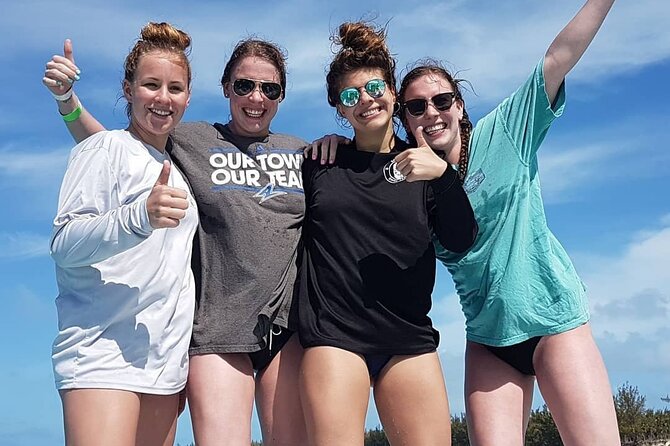 Powerboat and Snorkel Experience with Swimming Pigs and Turtles - Green Cay offers the calmest wildlife moment